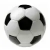 Futbolpasionmundial3