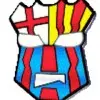 KINGPING FCB